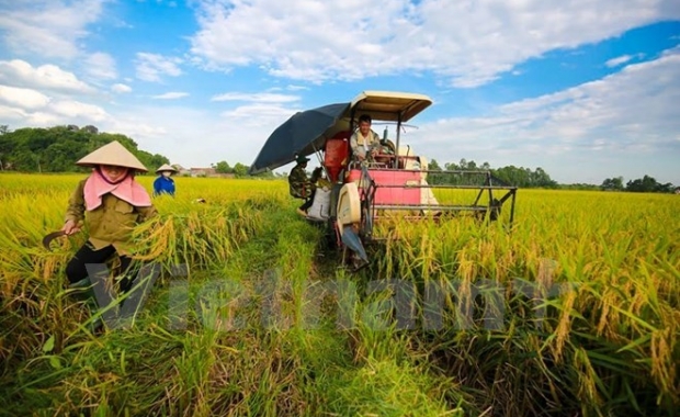 VIETNAM, GERMANY COOPERATE IN VOCATIONAL TRAINING FOR FARMERS